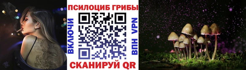 Псилоцибиновые грибы Psilocybine cubensis  Верхняя Салда 
