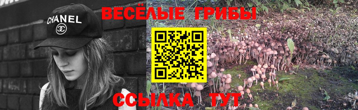 Псилоцибиновые грибы мухоморы Верхняя Салда